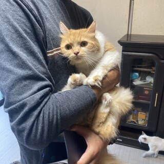 3歳女の子のご応募です。