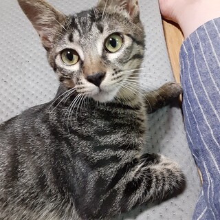 甘えん坊のみつくん