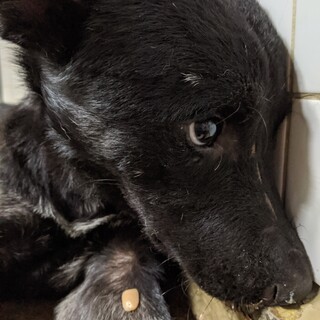 9月10日朝までの期限があります