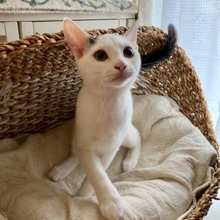 クールビューティー ❤️ ケイティ