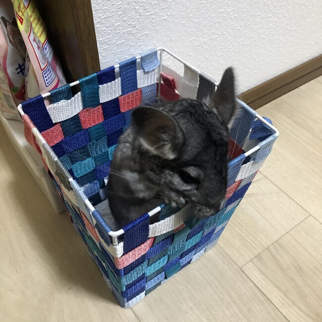 きつぎゃくのカバー写真