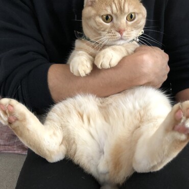 の写真