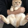 の写真