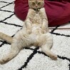 の写真