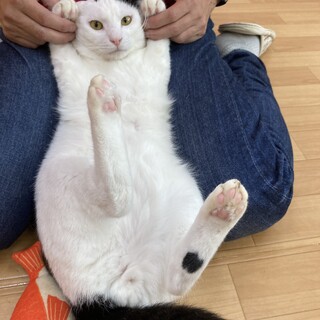 白多めの白黒のルイくん❣️