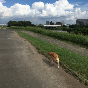 の写真