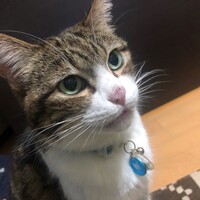 うり
