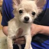 ☆クゥちゃん☆さん