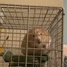 まる！