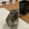 なぎ