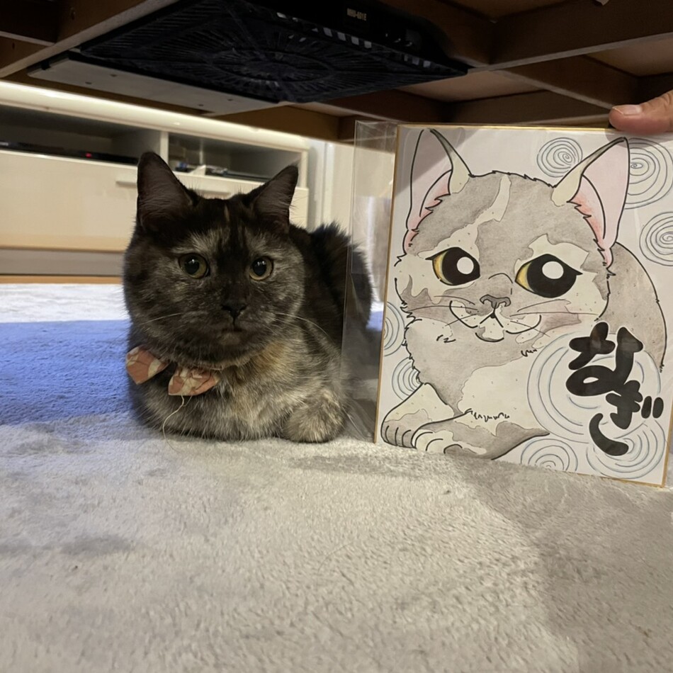 なぎのカバー写真