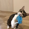 人と遊ぶのが大好きな女の子♪