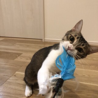 人と遊ぶのが大好きな女の子♪