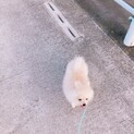 応募者多のため一旦止めます。