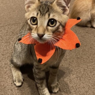 人見知りもなく❤️とっても甘えん坊男の子