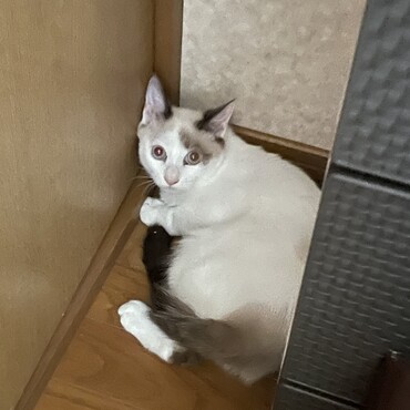 まだ慣れないようです