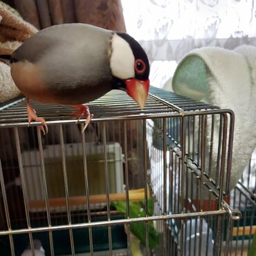 の写真