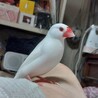 の写真