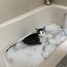 リモン