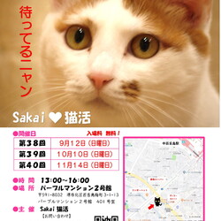 Sakai♥猫活　譲渡会