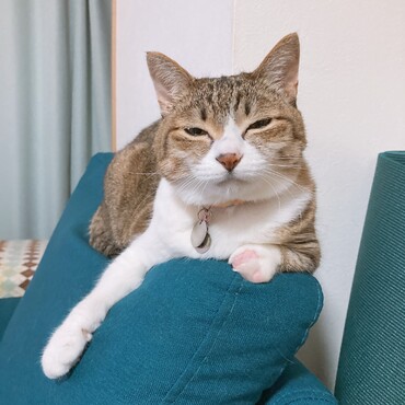 の写真