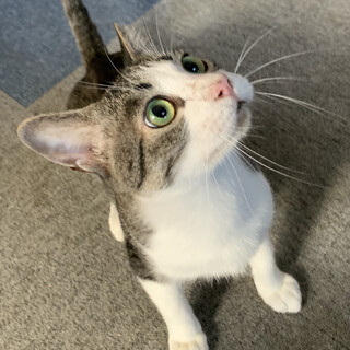 里親さま決まりました☆