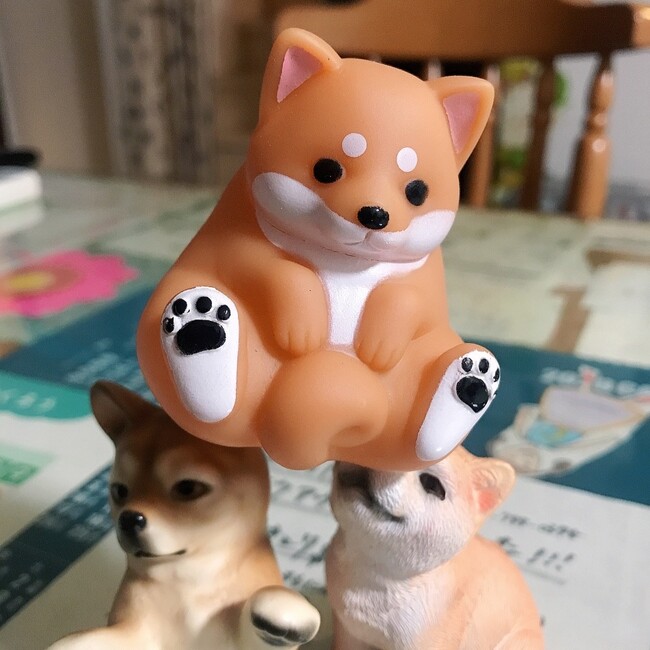 ヒメロンのカバー写真