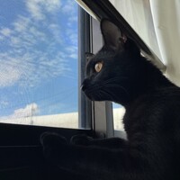 開(カイ)