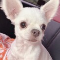 ☆❣️家族が決まりました❣️☆
