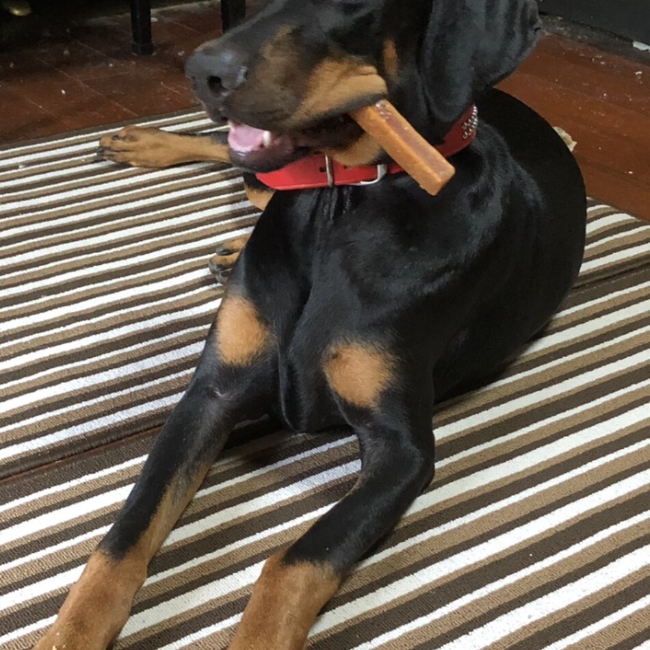 ロンのカバー写真