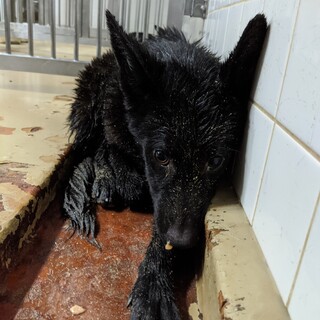 収容期限があり9/13朝迄となります