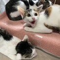 生後2〜3ヶ月