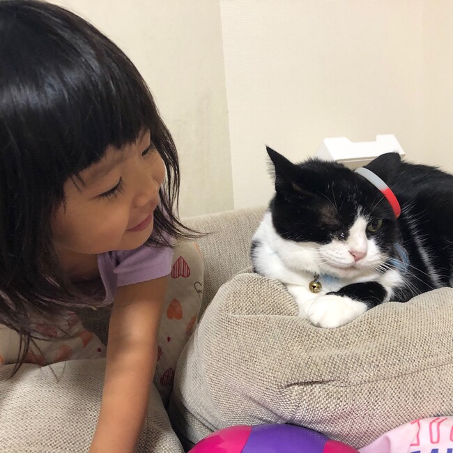 すみかずえちゃんのカバー写真