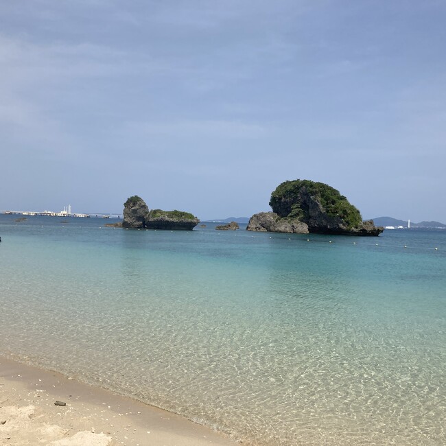 Cami camiのカバー写真