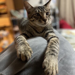 片目ハンデありですが、イケメンです！