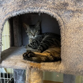 すっごい甘えん坊な女の子