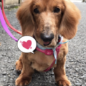 モカ穏やかで優しいトライアルです