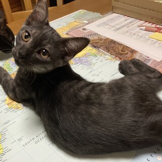 ありがとうございました