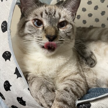 の写真