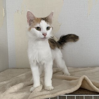 決定☆『ミリネ』遊び好きな元気な子