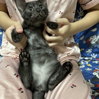 真ん丸おめめの美人さん