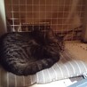 ９月で一才になります