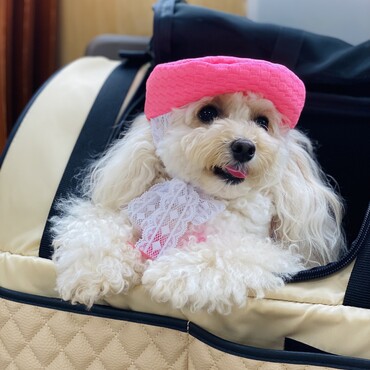 私、帽子が似合うんだよ