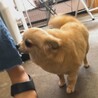 家族が決まりました サムネイル4