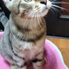 里親決定しました サムネイル3