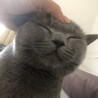 りくりくぷう