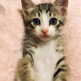 目鼻立ちくっきりイケメン☆マナカくん