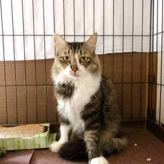 フワフワおっとり穏やかෆ⃛風太くん