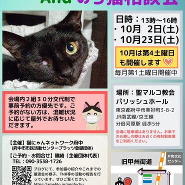 10月の譲渡会は2回開催予定です❗️