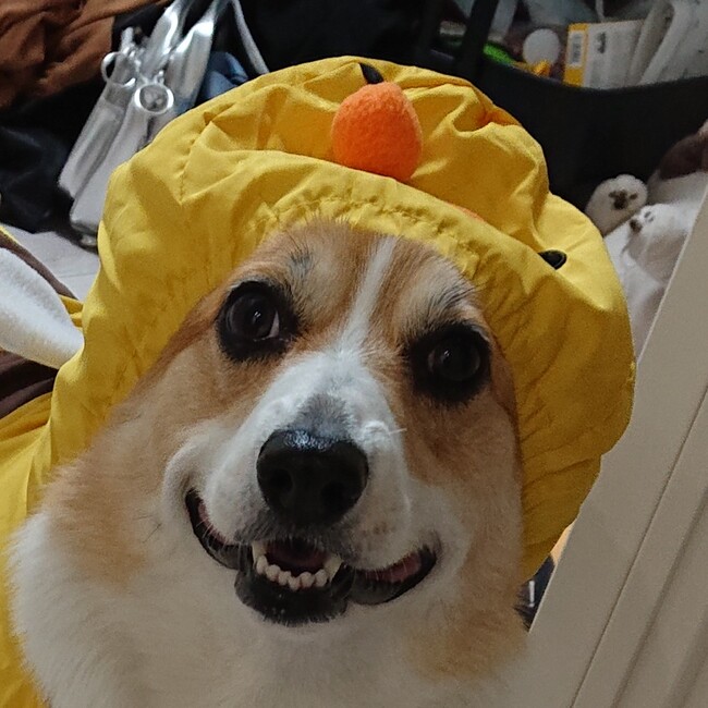 ニーナママ0420のカバー写真